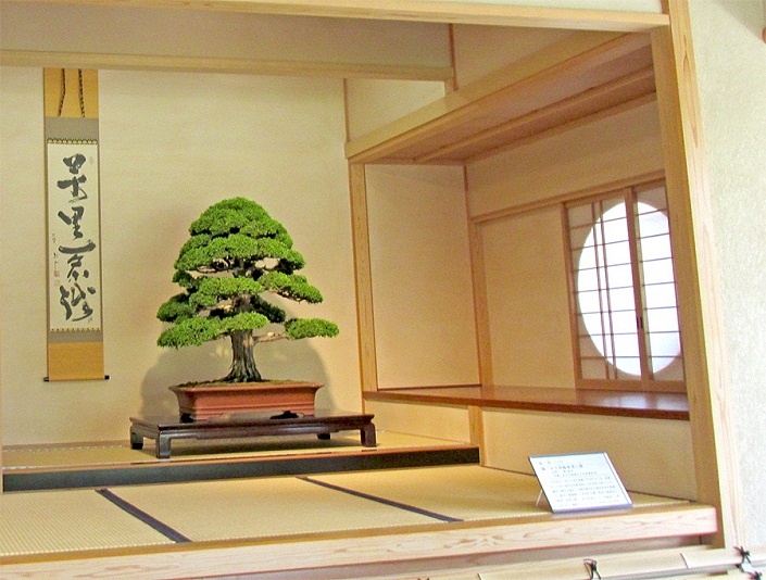 Bonsai-Japan-Bonsai-Japanische-Bonsai-05